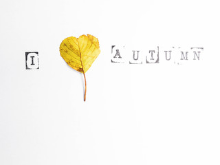 A heart shape on autumn leaf, with text i love autumn, isolatd on white