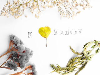 dry flowers and inscription with text i love autumn, yellow leaf heart shape
