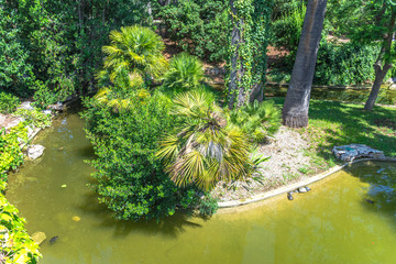 Italy, Bari, view of a pond among various plants in a public park