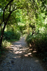 Obraz premium Dirt road in the mountains