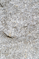 Abstract background, small gray and white spots.