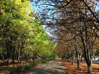 Nature.Water.sky.landskape.lake