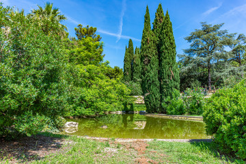 Italy, Bari, view of a pond among various plants in a public park