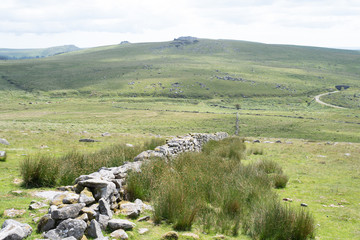 Fototapeta na wymiar Dartmoor dry stone wall