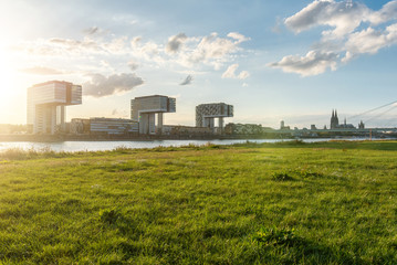panoramic skyline view of the rhine shore in cologne with meadow in the foreground and crane houses with cathedral in the back on a sunny summer day right before sunset - obrazy, fototapety, plakaty