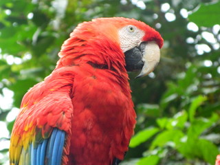 Obraz premium Paisajes, animales y mas