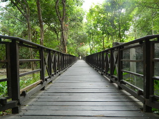 Obraz premium Paisajes, animales y mas