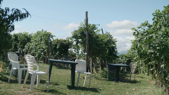 Tables of Osteria senza oste  in Valdobbiadene - 4k
