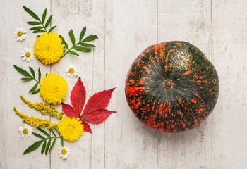 pumpkin and composition of flowers and leaves