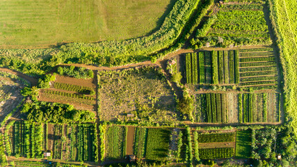 Top down view of a farm on the north shore of Oahu Hawaii - 289353022