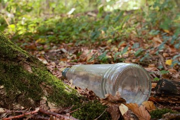 Umweltschutz, Glasflasche in der Natur