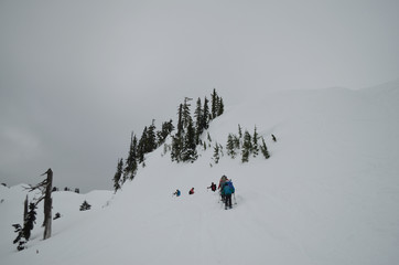 Mount Baker wilderness , WA , USA ,