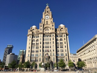 Naklejka premium The Royal Liver Building in Liverpool