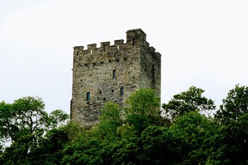Fototapeta na wymiar Abandoned Castle Tower
