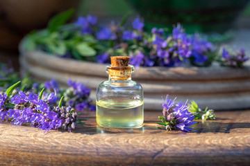 Obraz na płótnie Canvas A bottle of essential oil with fresh hyssop flowers