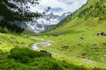 Gebirgstal mit Almhütten und Gletscher im Hintergrund