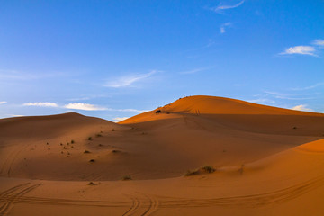 Dunes in the Sahara desert. Scenery