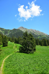 A landscape in the Belianske Tatry in Slovakia.