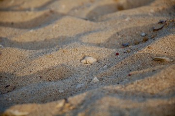 Fototapeta na wymiar sand near the water