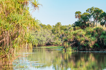 Landscape of the Yellow Water at Kakadu National Park, stunning nature and reflections, Northern Territory, Australia