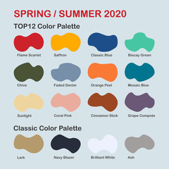 Spring / Summer 2020 trendy color palette. Fashion color trend. Palette guide with named color swatches. Saturated and classic neutral color samples set. Vector Illustration