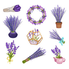 Set of compositions from lavender. Vector illustration.