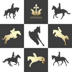 Equestrian sport. Horseback riding. Rider is performing jumps on horse. Horse silhouette black and white
