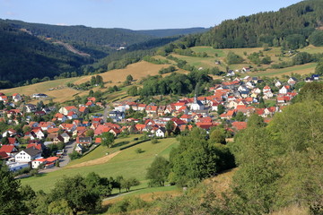 Fototapeta na wymiar View to the little village of Struth-Helmershof in Thuringia