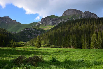 A landscape in the Belianske Tatry in Slovakia.