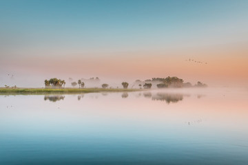 Sunrise at the Yellow Water Cruise, morning mist between trees and smooth water with mirror effect, Kakadu National Park, Northern Territory, Australia