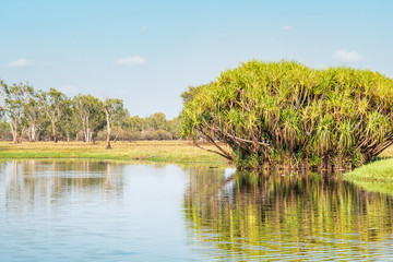 Landscape of the Yellow Water at Kakadu National Park, stunning nature and reflections, Northern Territory, Australia