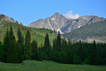 A landscape in the Belianske Tatry in Slovakia.