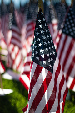 American Flag (1)