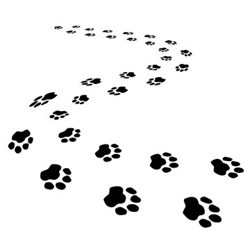 Cute dog or forest bear steps black seamless brush strokes isolated on white 3d path. Animal foot prints, pet silhouette paw imprint trails. Decorative idea for pet clinics, store decorative banners.