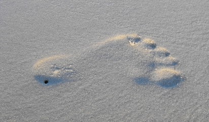 Foot print