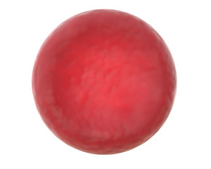 3D render of red blood cell isolated on white.
