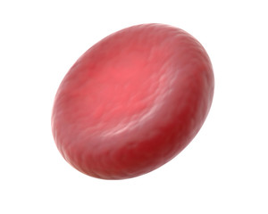 3D render of red blood cell isolated on white.