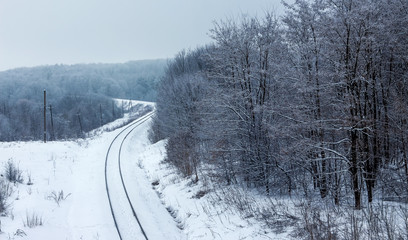 Winter landscape with railway track running through forest_