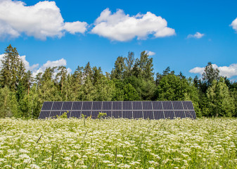 Small solar energy farm on beautiful natural meadow in nature. Renewable energy concept. Room for...