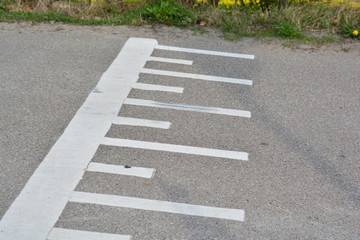 Obraz premium road with road-markings with between trees