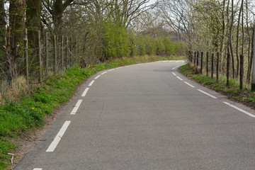 road with road-markings with between trees