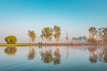 Sunrise at the Yellow Water Cruise, morning mist between trees and smooth water with mirror effect, Kakadu National Park, Northern Territory, Australia