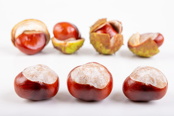 Chestnuts and shells on a white table. Ripe chestnut fruit.