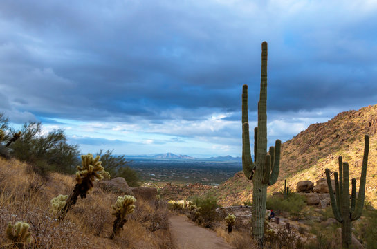 Desert Hiking Trail In North Scottsdale, AZ © Ray Redstone
