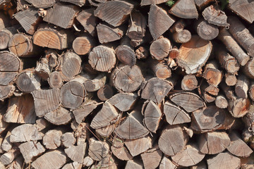 Trunks of trees after deforestation as  background