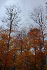 Fototapeta premium Autumn stormy sky