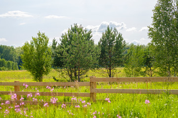 beautiful rural landscape with old wooden fence and blue cloudy sky. natural summer background