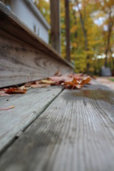 Autumn wood steps