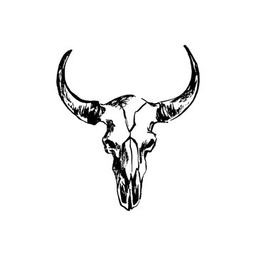 Hand drawn bison skull. Buffalo cranium vector illustration. Cow head bone black isolated on white background