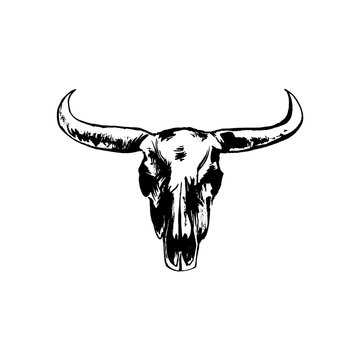 Hand drawn bison skull. Buffalo cranium vector grunge style illustration. Cow head bone black isolated on white background